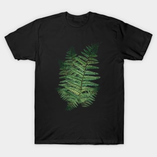 Fern Leaves in the Forest T-Shirt